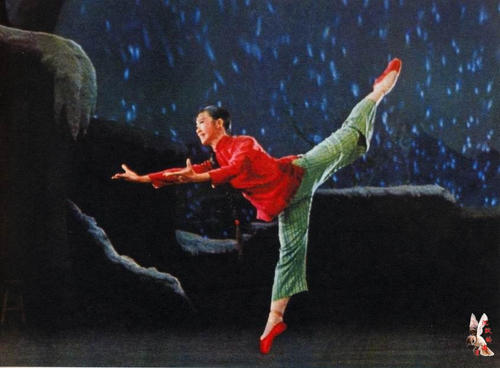 办假的个人番号卡